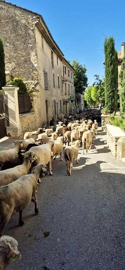 Chambres D'Hotes Le Relais Des Marmottes En Luberon Lagnes Eksteriør bilde